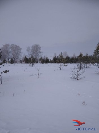 Земельный участок поселок Баженово в Евпатории - evpatoriya.yutvil.ru - фото 2