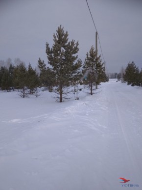 Баженово ул Южная д 7 в Евпатории - evpatoriya.yutvil.ru - фото 1