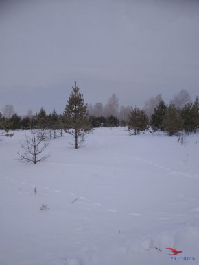 Баженово ул Южная д 7 в Евпатории - evpatoriya.yutvil.ru - фото 5