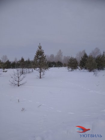 Земельный участок поселок Баженово в Евпатории - evpatoriya.yutvil.ru - фото 5