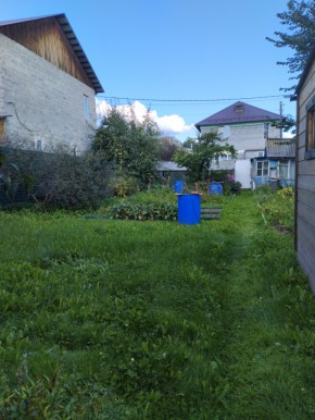 Коллективный сад номер 7, участок 58 в Евпатории - evpatoriya.yutvil.ru - фото 26 Коллективный сад номер 7, участок 58 в Евпатории - evpatoriya.yutvil.ru - фото 26